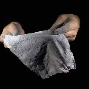 Revers, 2016, Ismaïl Bahri, Série de vidéos HD 16/9, son stéréo, durées variables. Vidéos commanditées par Incorporated!, Les Ateliers de Rennes et La Criée centre d’art contemporain. Courtesy of Jeu de Paume