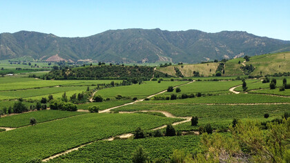 Vista panorámica de un paisaje rural en la región de O'Higgins, Chile