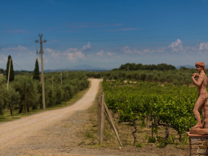 Esterni della Fattoria