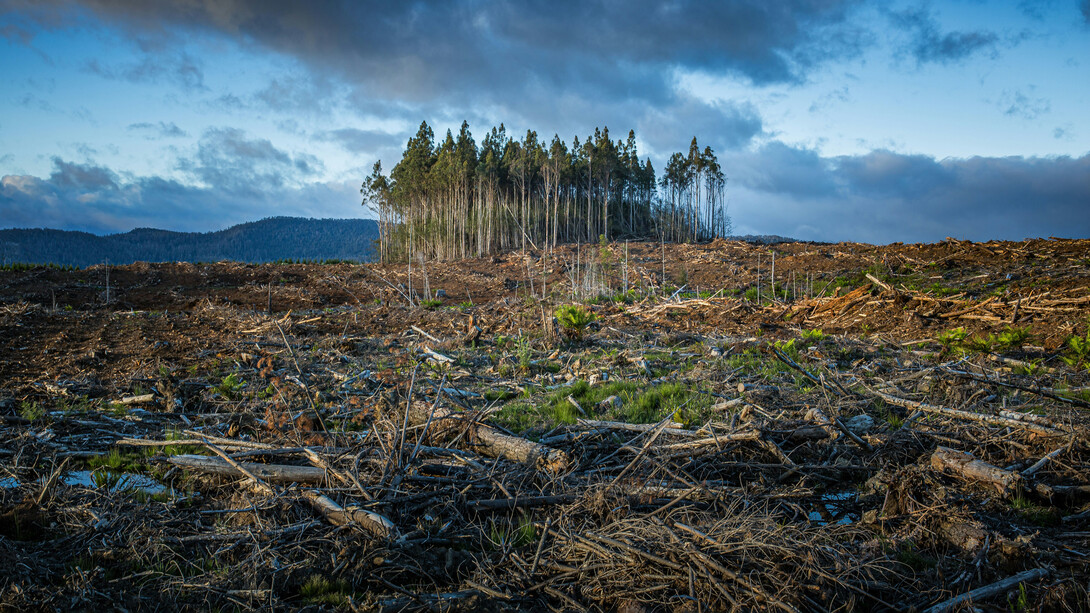 El Fondo Monetario Internacional (FMI) tiene gran responsabilidad en la crisis climática actual, entre otros motivos, por obligar a los países endeudados a seguir apostando por los combustibles fósiles