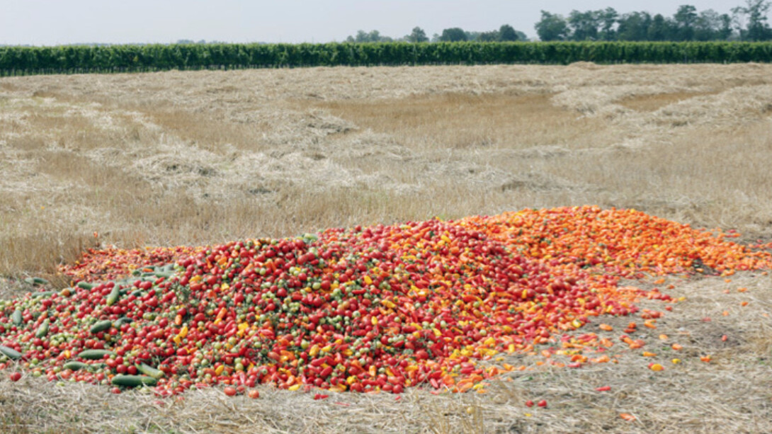 Martin Kollar. Courtesy of Galerie Stephan Witschi