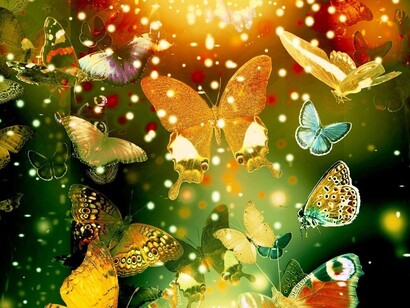 Butterflies