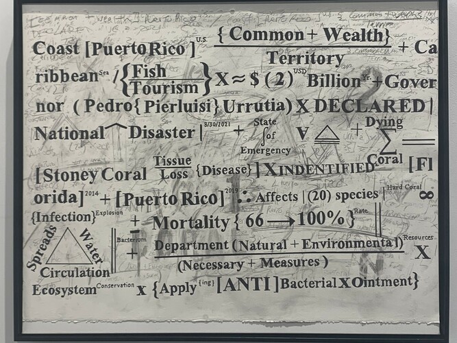 Gabriel Delgado, Stoney Coral emergency | Puerto Rico, (from the Environmental series), ink, chalk, graphite on Strathmore watercolor paper, mounted on canvas, 22x30 in