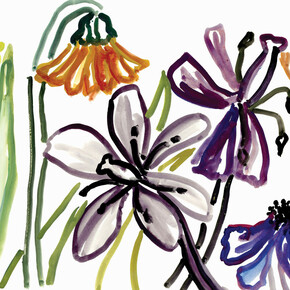 Nerys Johnson, Flowers in outline I, gouache 1999, 44.5 x 57 cm