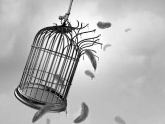 Tu voulais te libérer, tu t'es échappé,  maintenant vole petit oiseau!