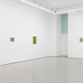 Jennifer J. Lee, The falls, exhibition view. Courtesy of Klaus von Nichtssagend Gallery