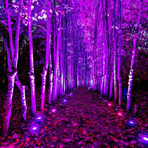 Klip Collective, Time loop, exhibition view. Courtesy of Crystal Bridges Museum of American Art