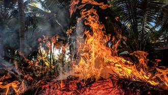 Fuego amarillo se expande en un incendio forestal