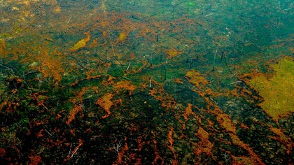 Desastre ambiental en la Amazonia