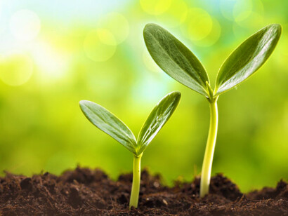 El cambio profundo de la consciencia vital de todos nosotros es imprescindible si deseamos una sociedad-nación que funcione efectivamente priorizando el bien común