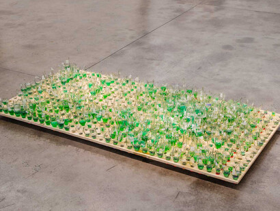Lawn 1, 2016 Wood, broken bottles, and petrol 242 x122 x28 cm