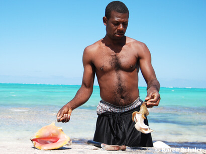 Fresh conch cracked out its shell