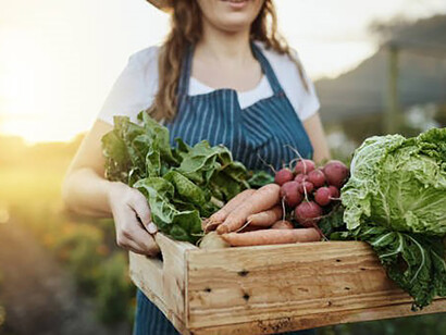In the season of autumn, a bountiful harvest emerges, symbolizing the fruition of sustainable cultivation and the harmony between human efforts and the natural world