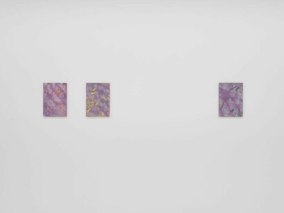 Ran Zhang, Dark romance, exhibition view. Courtesy of Plan B Gallery