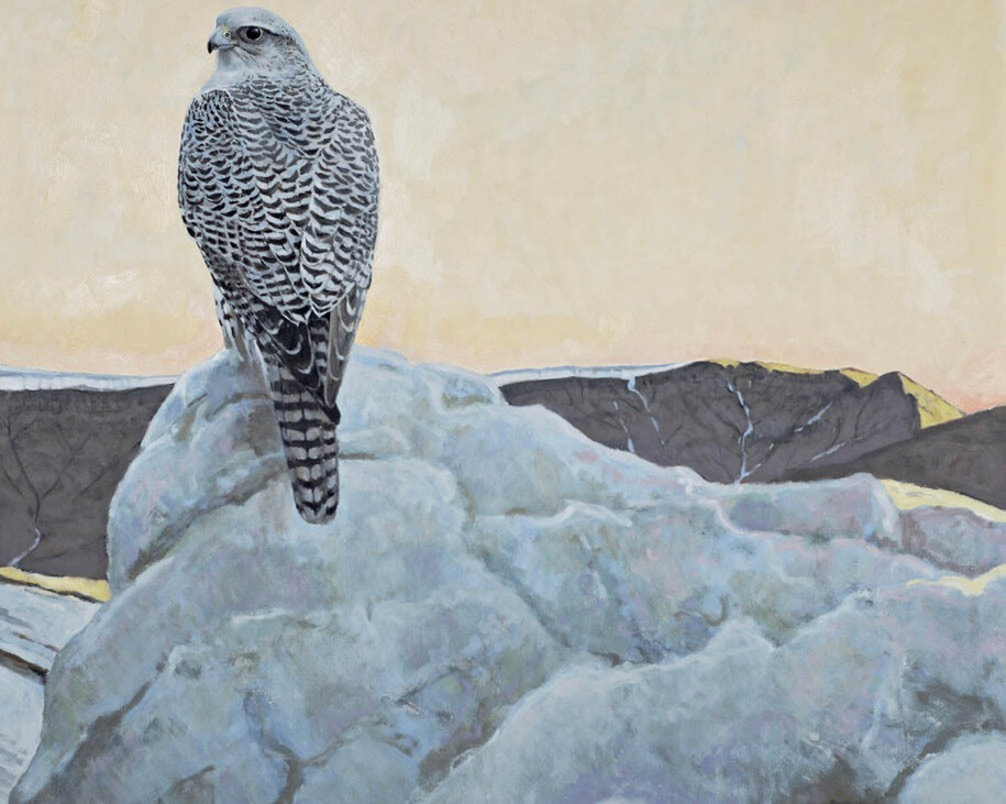 Birds of a Feather. Courtesy of Trailside Galleries