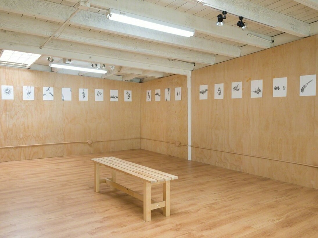 Manifestos, Exhibition view. Courtesy of Ochi Projects