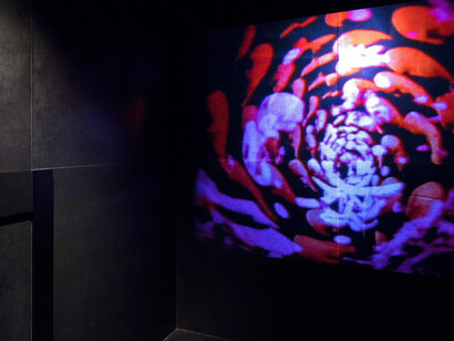 Toshio Matsumoto. Courtesy of Empty Gallery