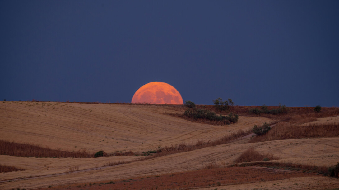 The moon rising behind the horizon bringing reflection and stillness