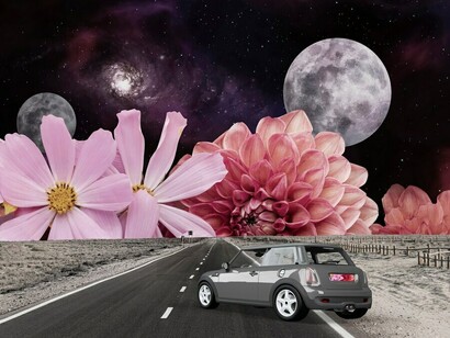 A car surrounded by giant flowers, creating an abstract dreamscape, with surreal imagery that sparks artistic inspiration
