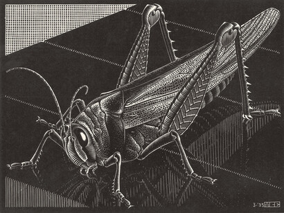 Maurits Cornelis Escher, Grasshopper, March 1935, Xilography, 18,10 x 31,60 cm, Collezione Giudiceandrea Federico All M.C. Escher works © 2015 The M.C. Escher Company. All rights reserved