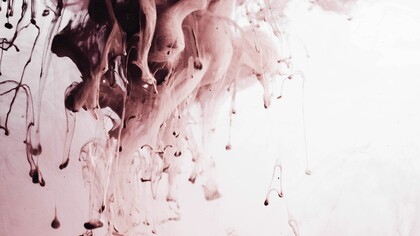 Por intrincadas curvas, la vida recorre caminos de encuentro en búsqueda de unión