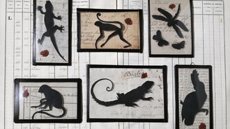 Small collage under antique handblown glass
