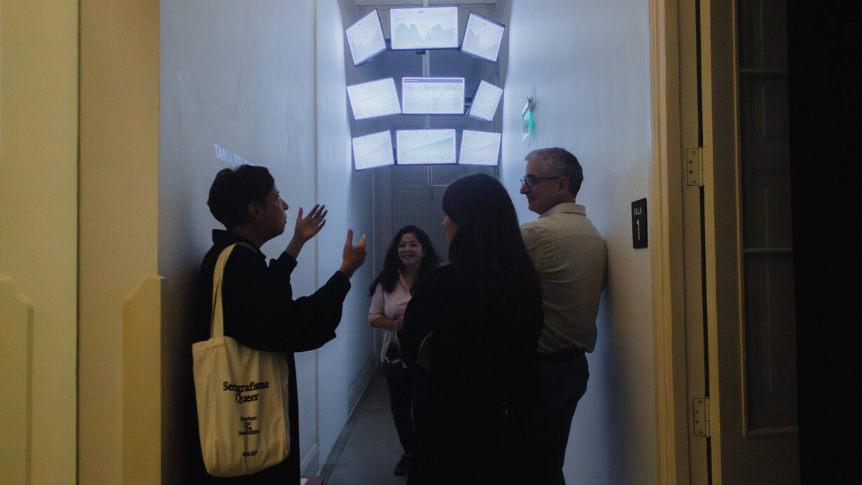 Tania Bruguera, Accelerated free fall (AFF), exhibition view. Courtesy of proyectoamil