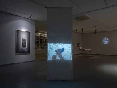 Larry Muñoz, Graceful elegant beasts, exhibition view. Courtesy of Zilberman Gallery