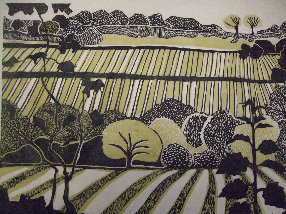 Ann Mytton, Spring Fields Near Trevaylor