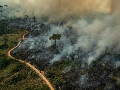 Amazzonia in fiamme