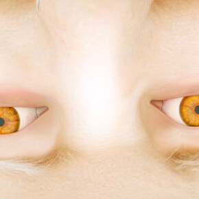 Stine Deja, Thermal Womb