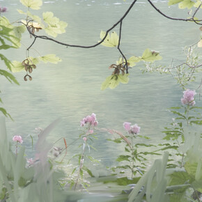 Sandra Kantanen, Untitled (Pink Flowers) 2013 pigment print, ed 5, 62 x 50 cm, detail