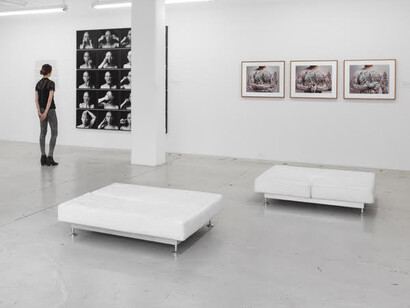 Body, Self, Society, Exhibition view. Courtesy of The Walther Collection