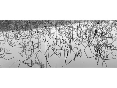 Copyright Lois Conner, Courtesy Gitterman Gallery.