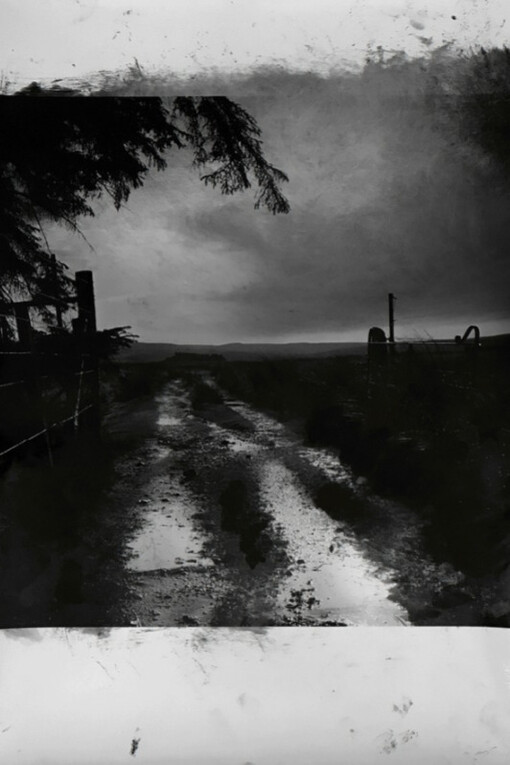 Nil by Steve Macleod. Courtesy of Black Box Projects