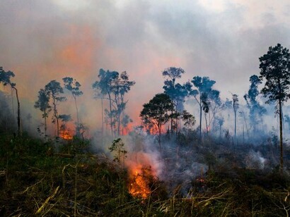 It is only a matter of time before a Green New Deal becomes an evolutionary imperative