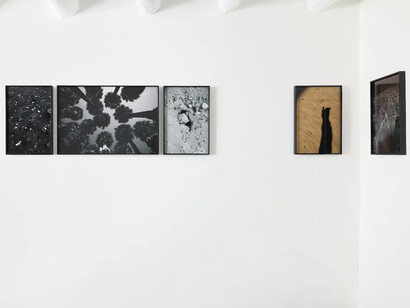 Marcus Xavier Chormicle, Say uncle, exhibition view. Courtesy of smoke the moon
