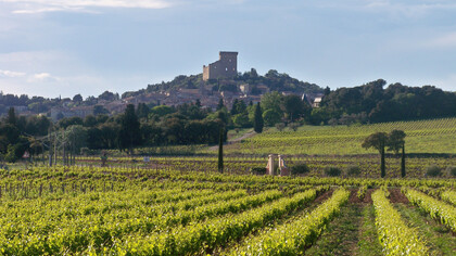 Châteauneuf-du-Pape, Francia meridionale