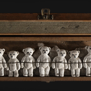 Heide Hatry, Polar bear extinction box. Courtesy of Ivy Brown Gallery 