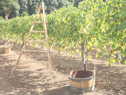 Ubicada en el Bosque San Silvestre