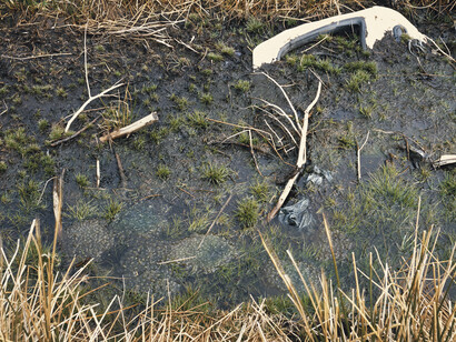 Willie Doherty
Dead Pool I, 2011
C-print montata su alluminio, 122x152 cm
Courtesy l’artista e Kerlin Gallery, Dublino

