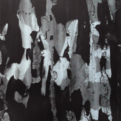 Aaron Siskind. Courtesy of Galerie Julian Sander