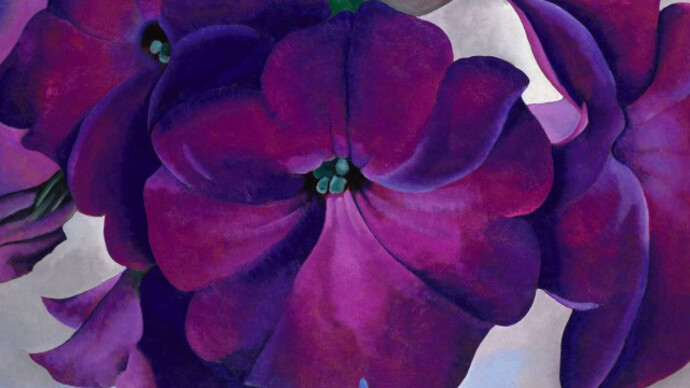 Georgia O'Keeffe, 'Petunias', 1925. Oil on hardboard, 18 x 30 in. (45.7 x 76.2 cm). Museum purchase, gift of the M. H. de Young Family