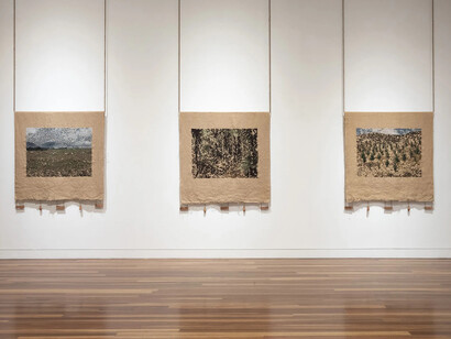 Caroline McQuarrie, The land, again, exhibition view. Courtesy of Jhana Millers Gallery
