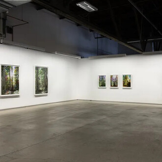 Sarah Anne Johnson, A mountain and a forest, vue de l'exposition. Avec l'aimable autorisation de la Blouin Division 