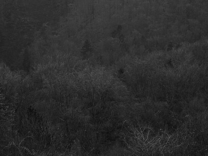 Lucia Papco: Gained Spaces #5, 2013(detail)