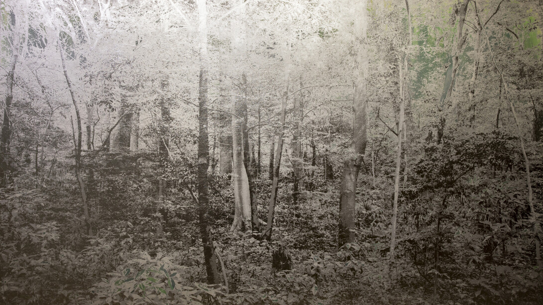 Under the Moonlight. Courtesy of JD Malat Gallery