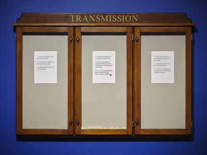 Hamad Butt, Apprehensions, exhibition view. Courtesy of IMMA