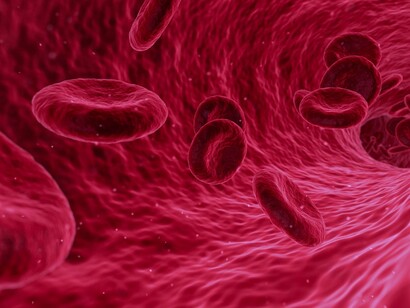 Glóbulos rojos