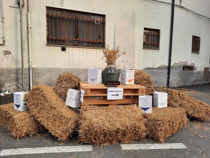 Cantina Erbaluce di Caluso, Piemonte, Italia